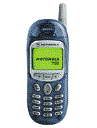 Best available price of Motorola T190 in Bulgaria