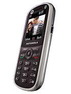 Best available price of Motorola WX288 in Bulgaria