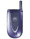 Best available price of Motorola V66i in Bulgaria